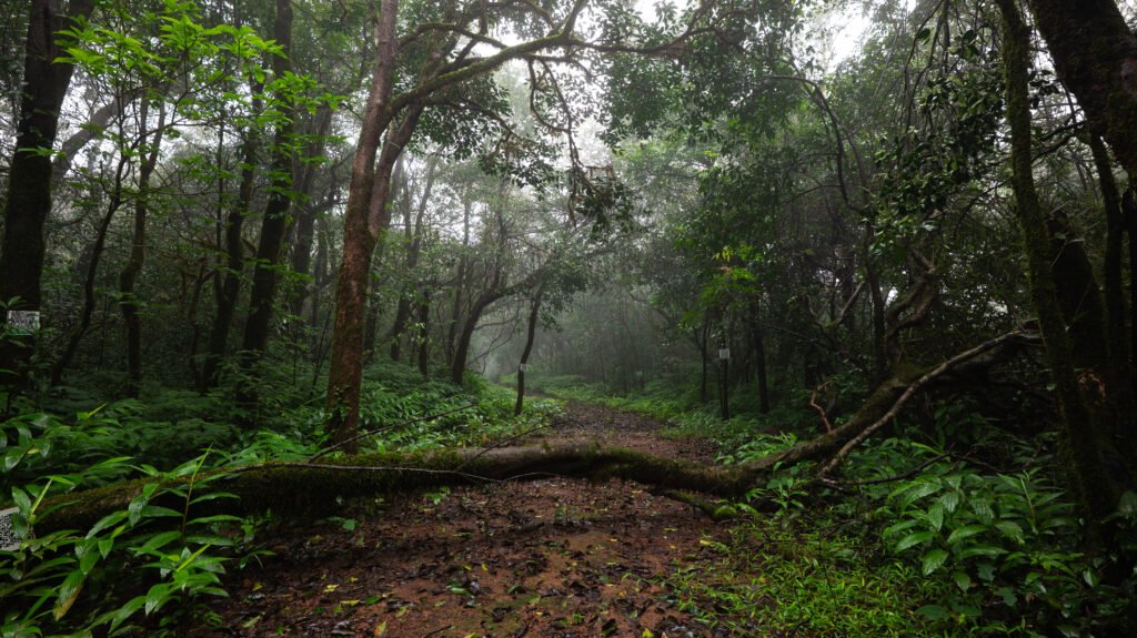 Western Ghats of India