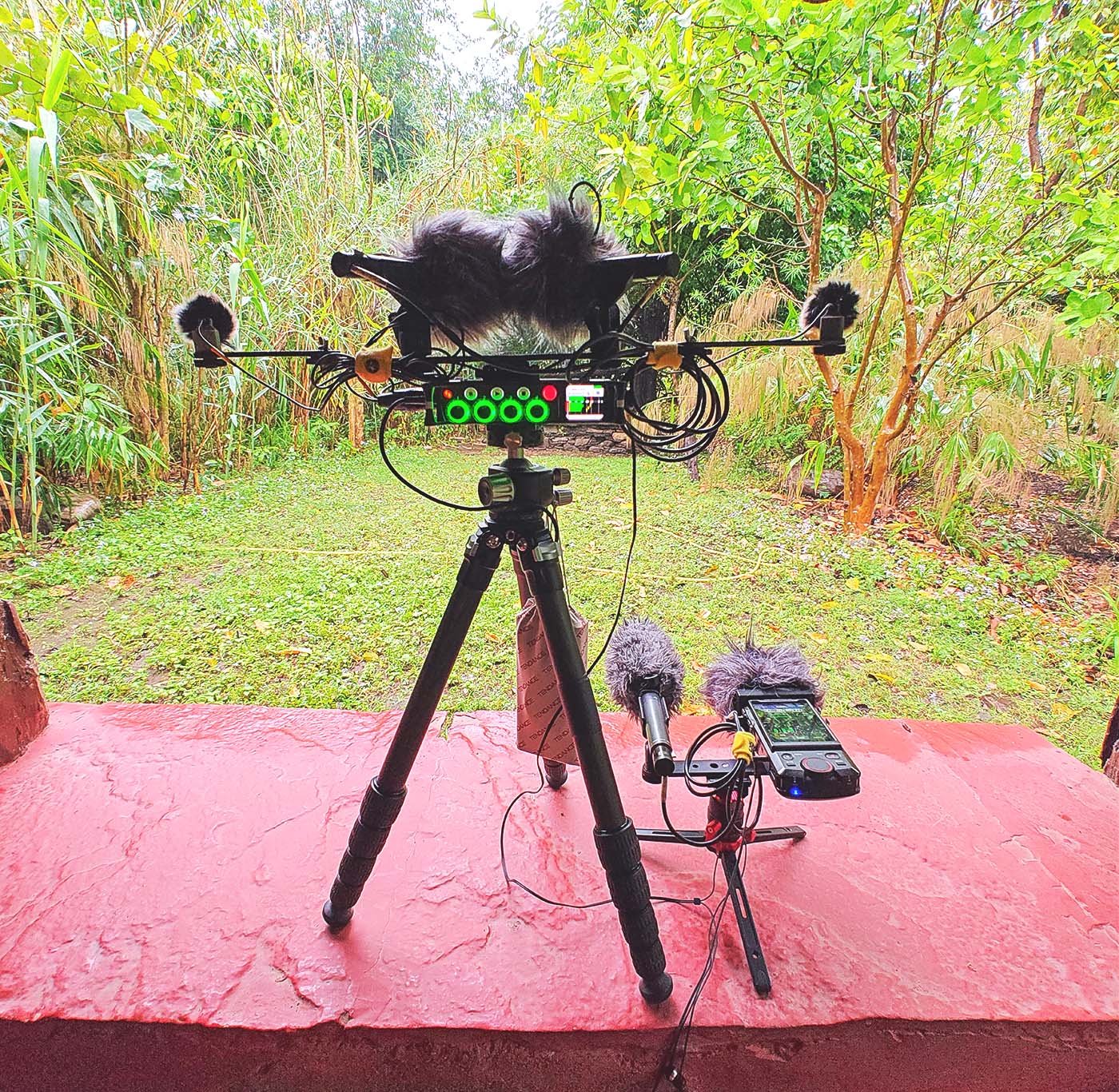 Recording the Sounds of Birds in the Himalaya