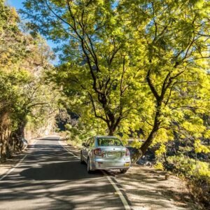 Sound Library - Western Ghats of India